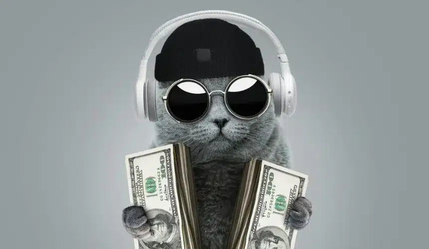 saiba como investir em musicas